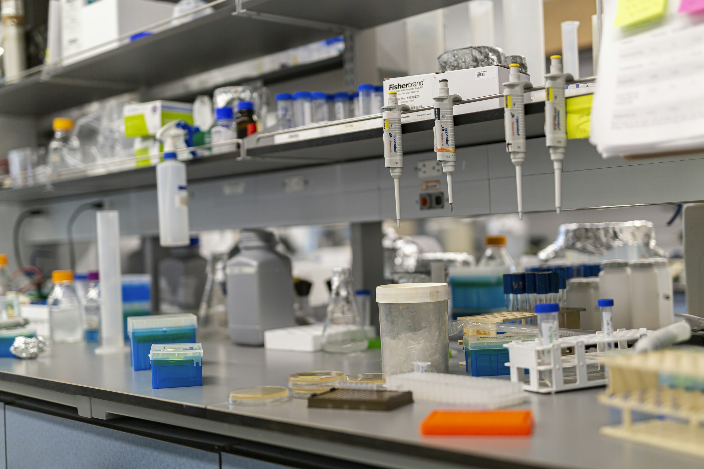A research laboratory bench laid out with scientific equipment — representing the academic and industrial collaborations behind Elysée's funded research projects.